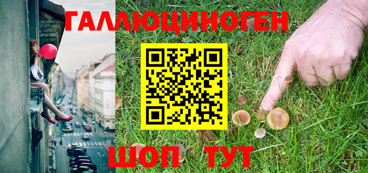 Железноводск  купить   Вход с VPN  Псилоцибиновые грибы Magic Shrooms 