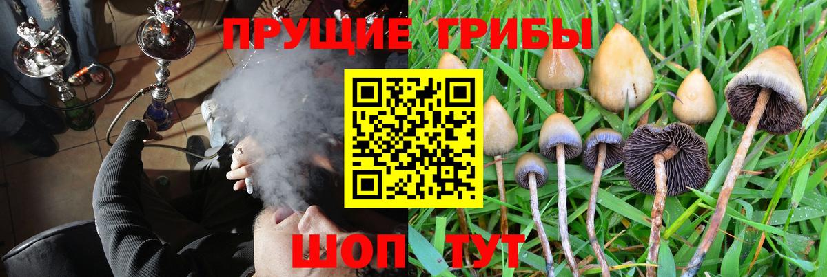 Псилоцибиновые грибы Psilocybine cubensis Железноводск